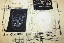 Picaldi 3005 Longsleeve gelb