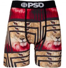 PSD Underwear Aabstract Lion